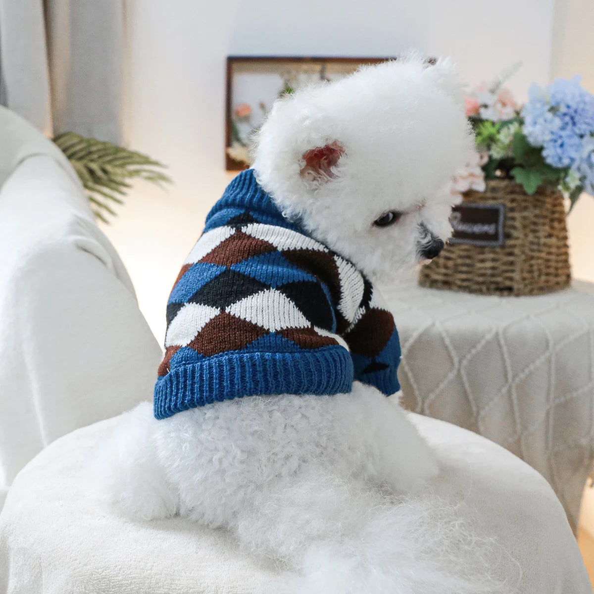 1PC pet clothing blue coffee diamond grid sweater pullover knitted sweater suitable for small and medium-sized dogs